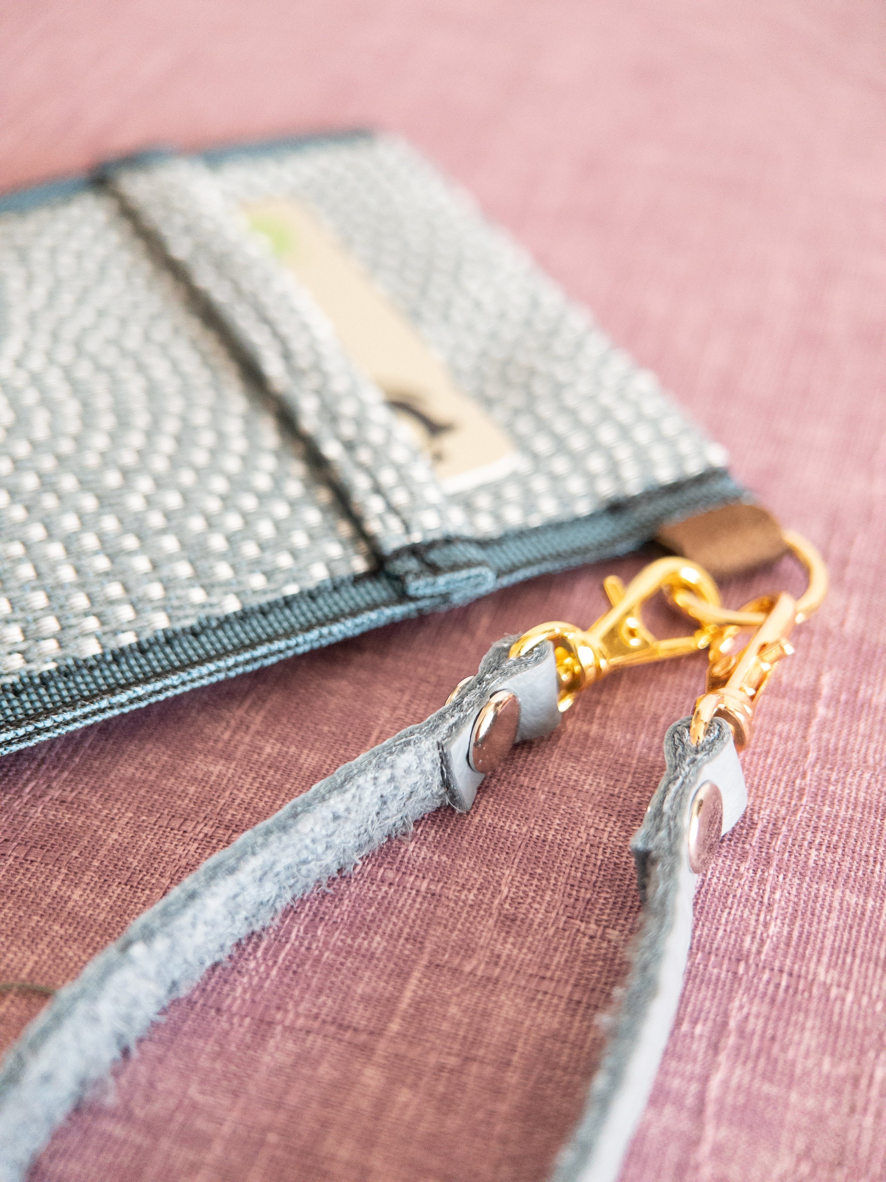 Pass Case - Blue & Dots