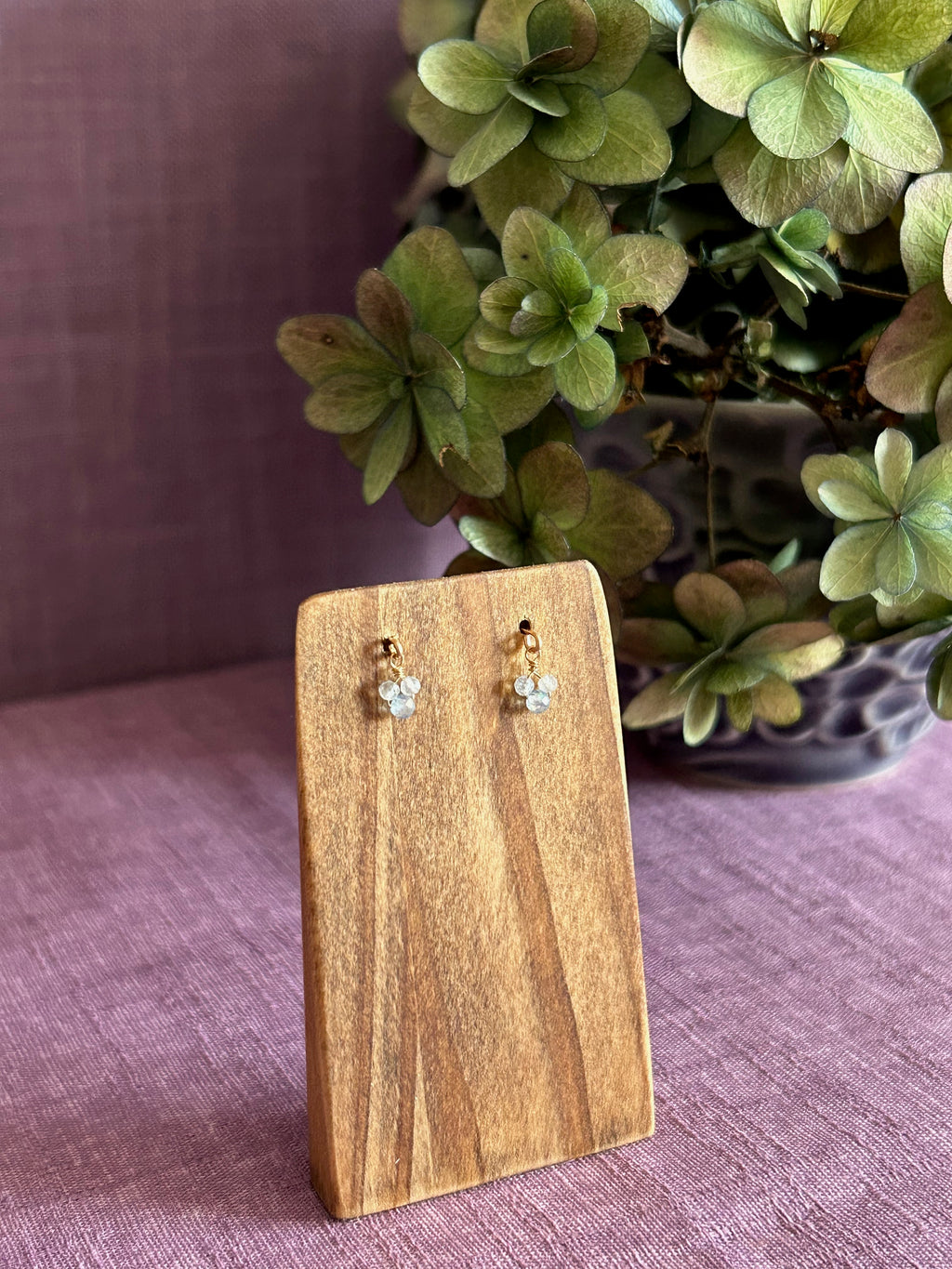 Mini puces d'oreilles